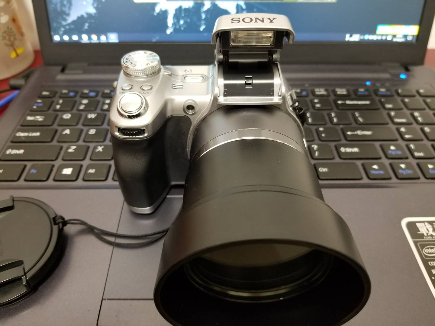 mmexport1518369375448.jpg