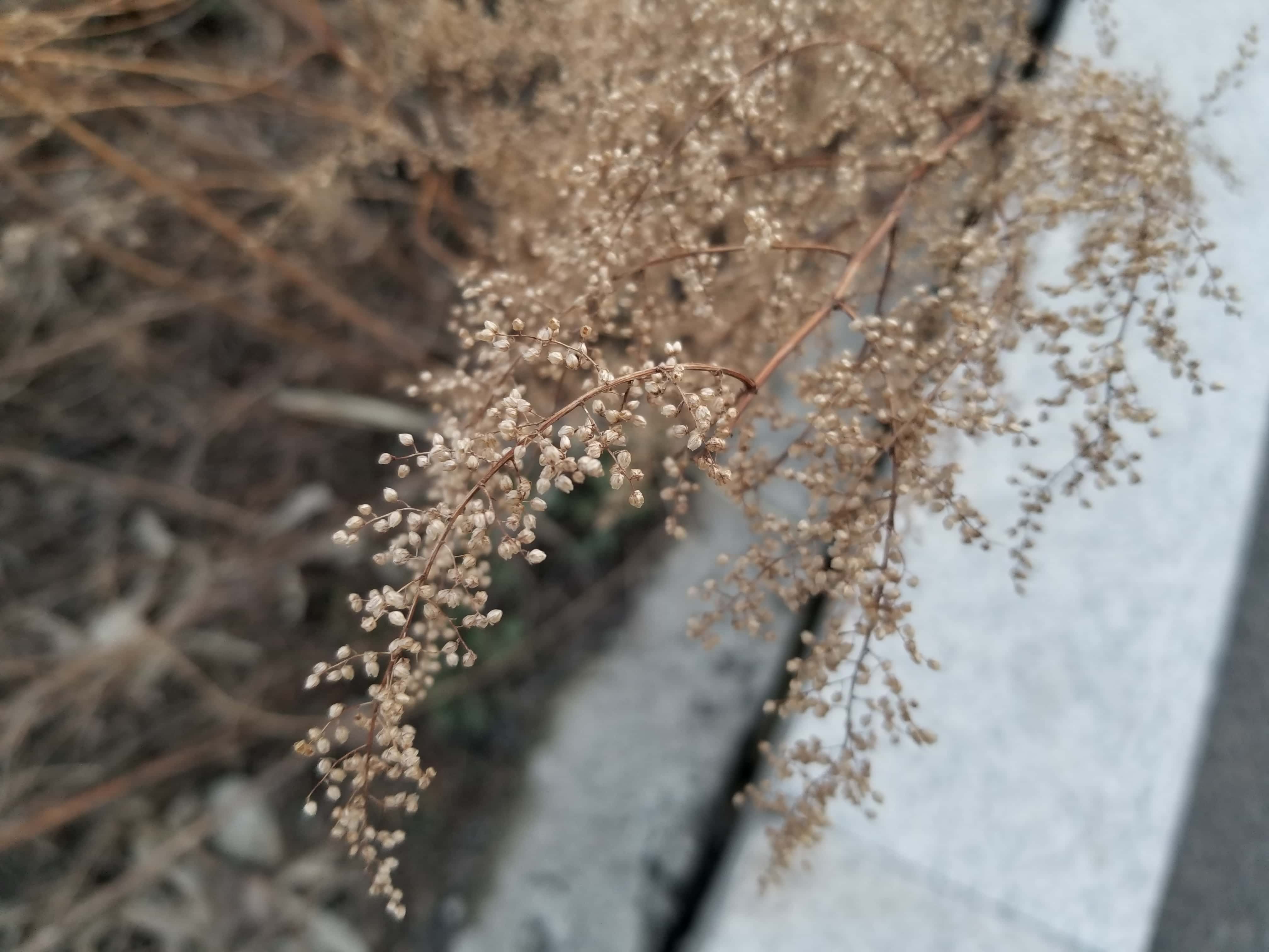 20180430_182114.jpg