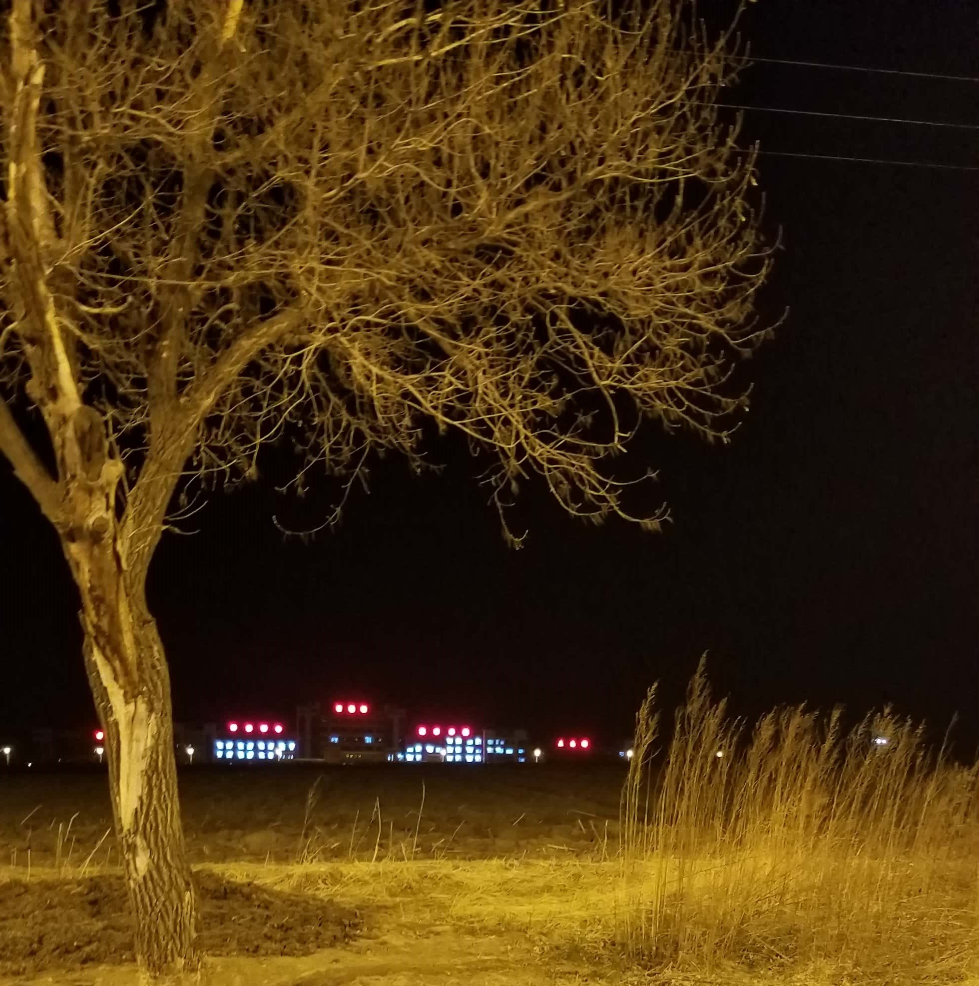 20180430_192132.jpg