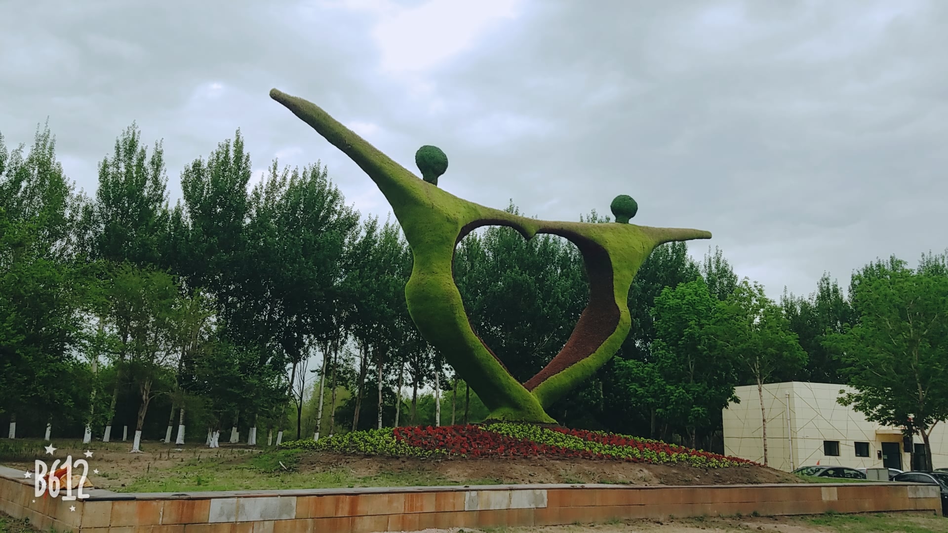 B612Kaji_20180609_090456_126.jpg