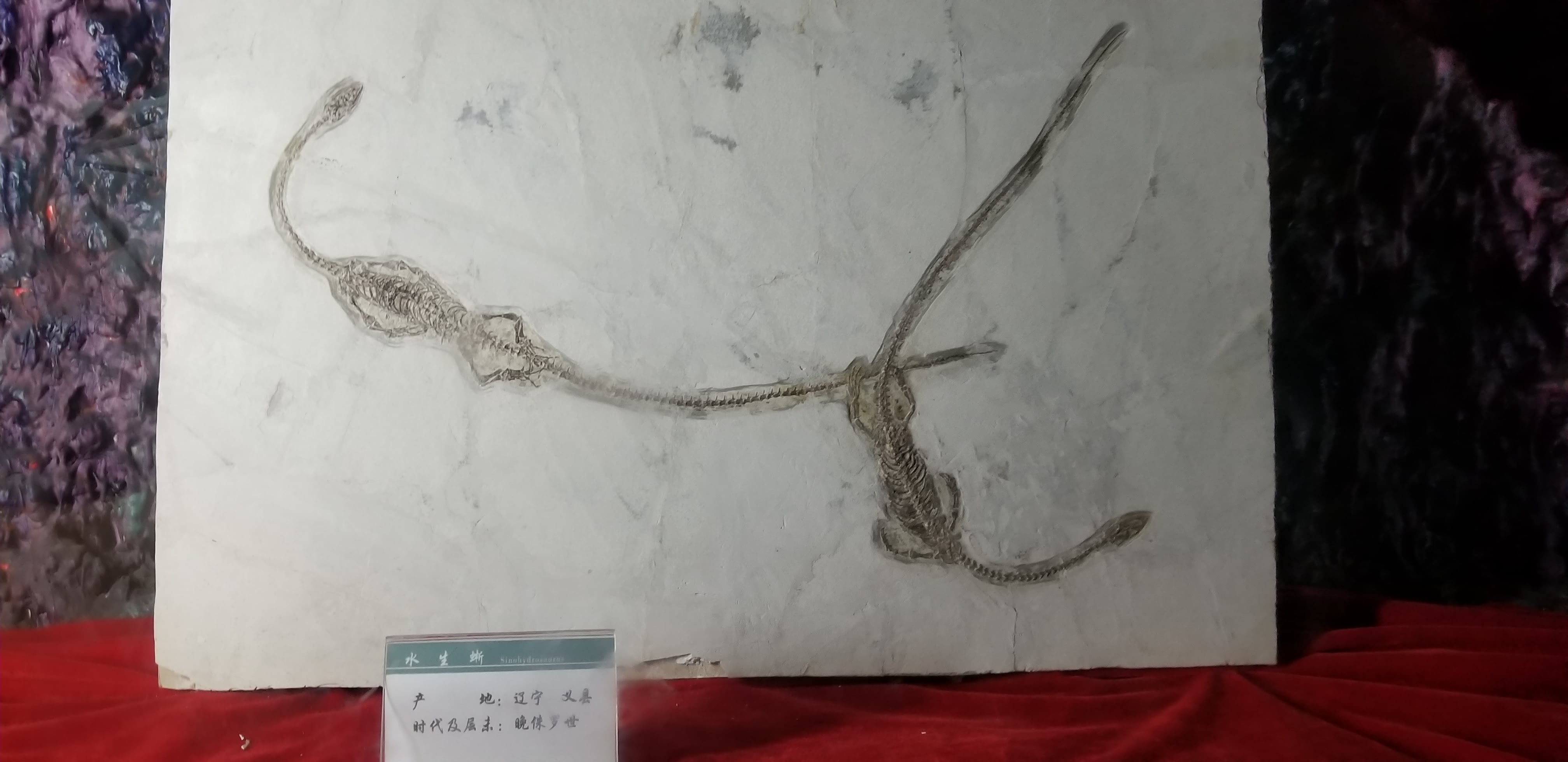 20180609_104320.jpg