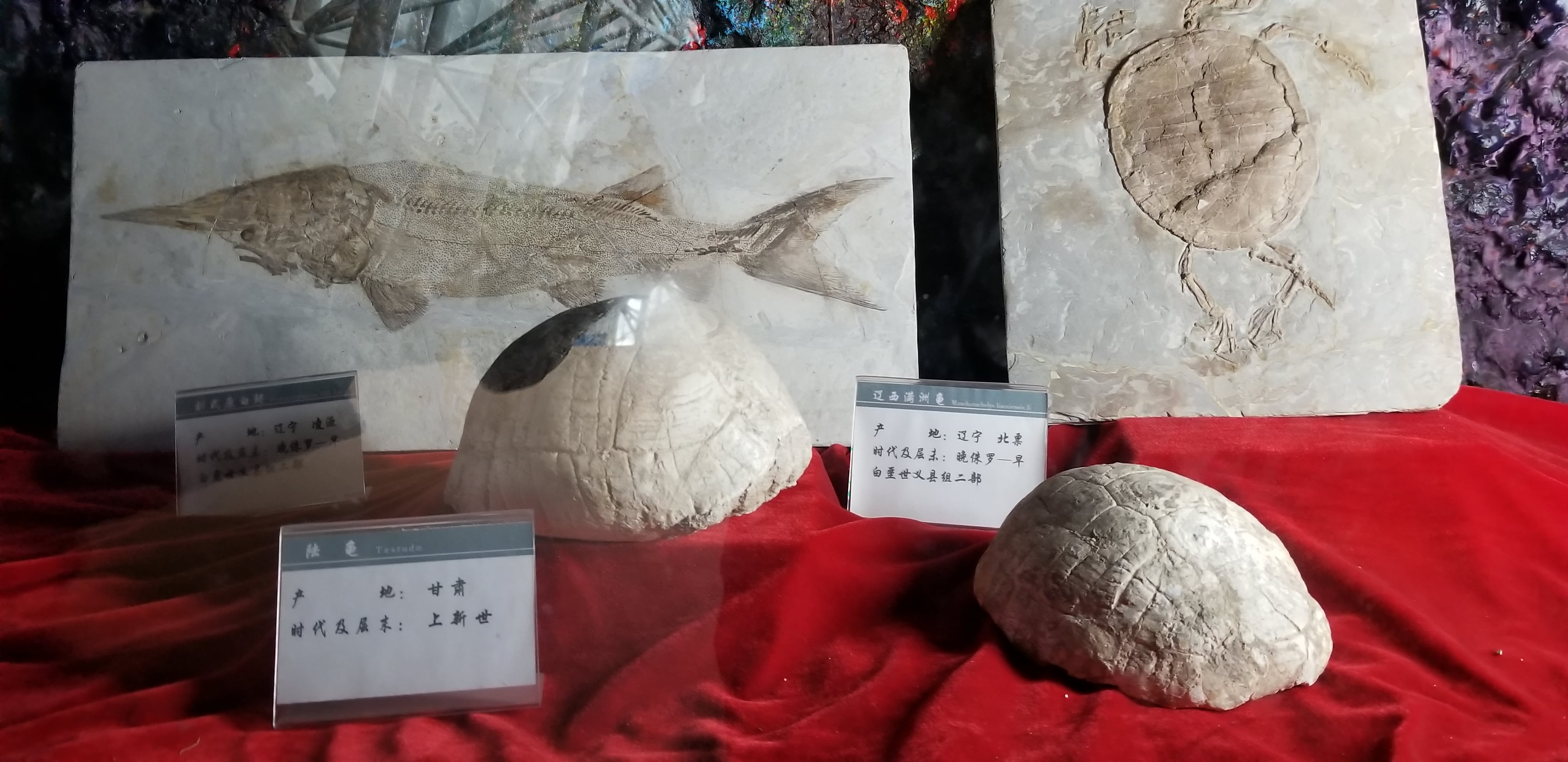 20180609_104331.jpg