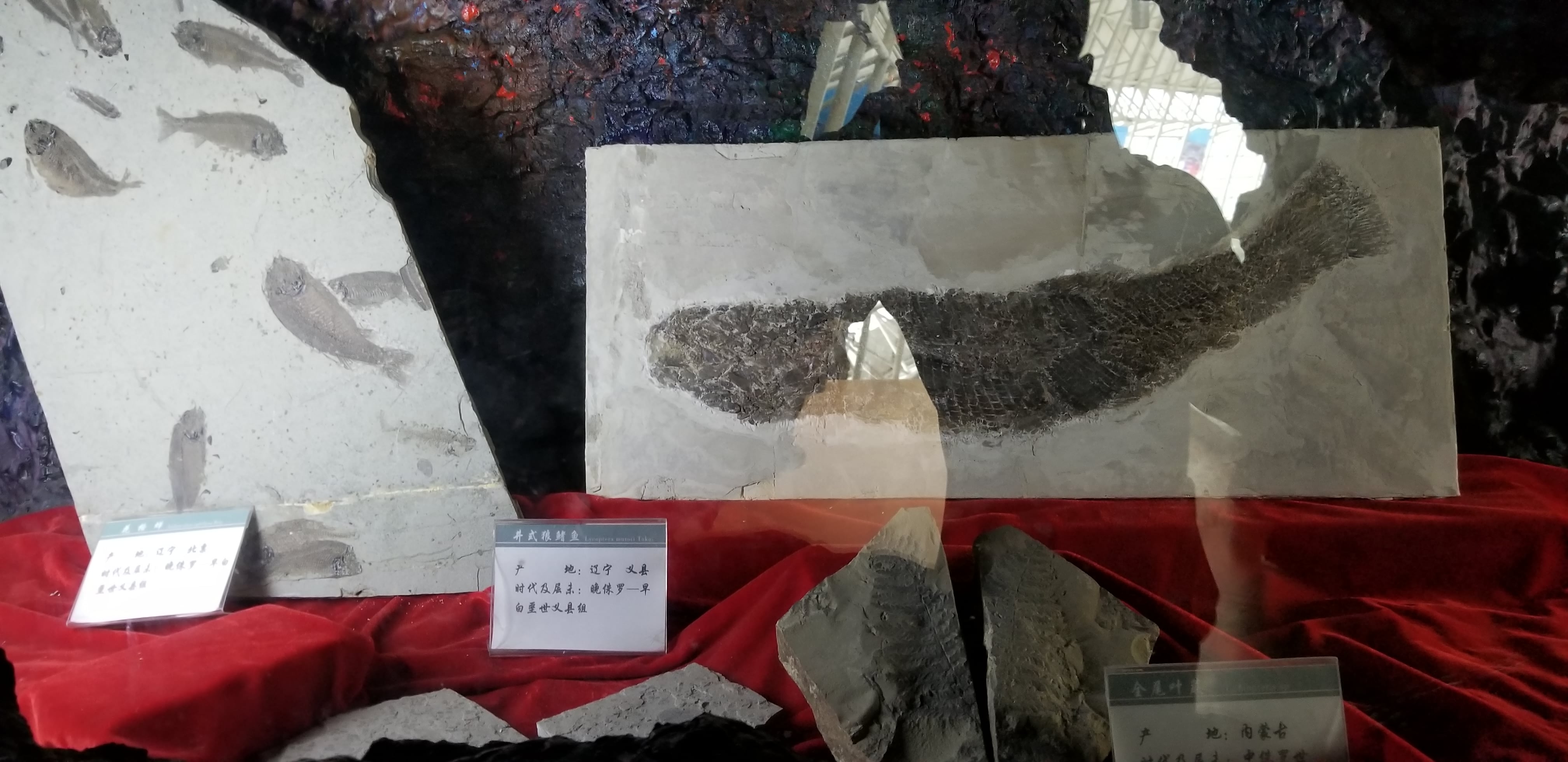 20180609_104335.jpg