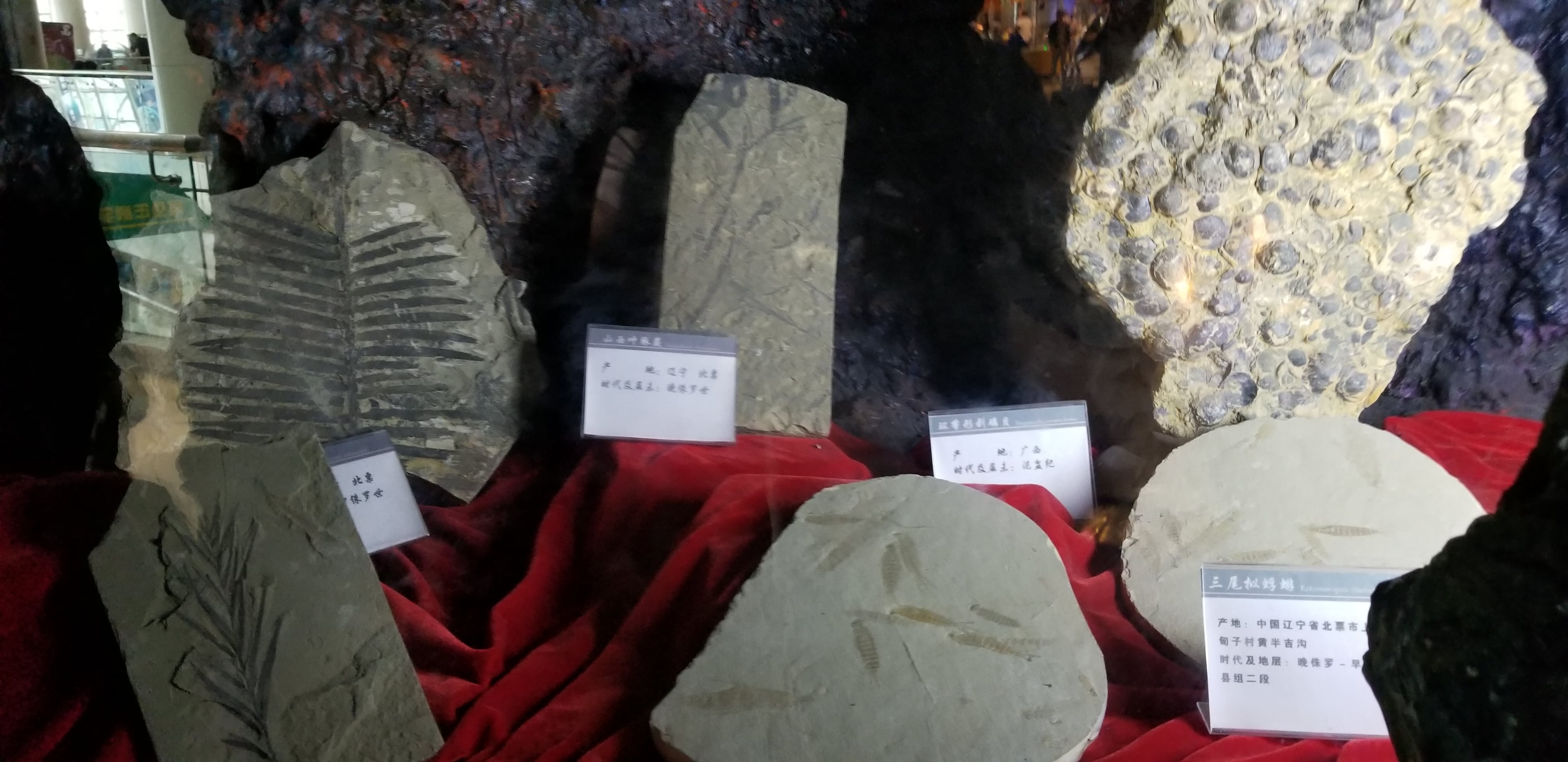 20180609_104339.jpg