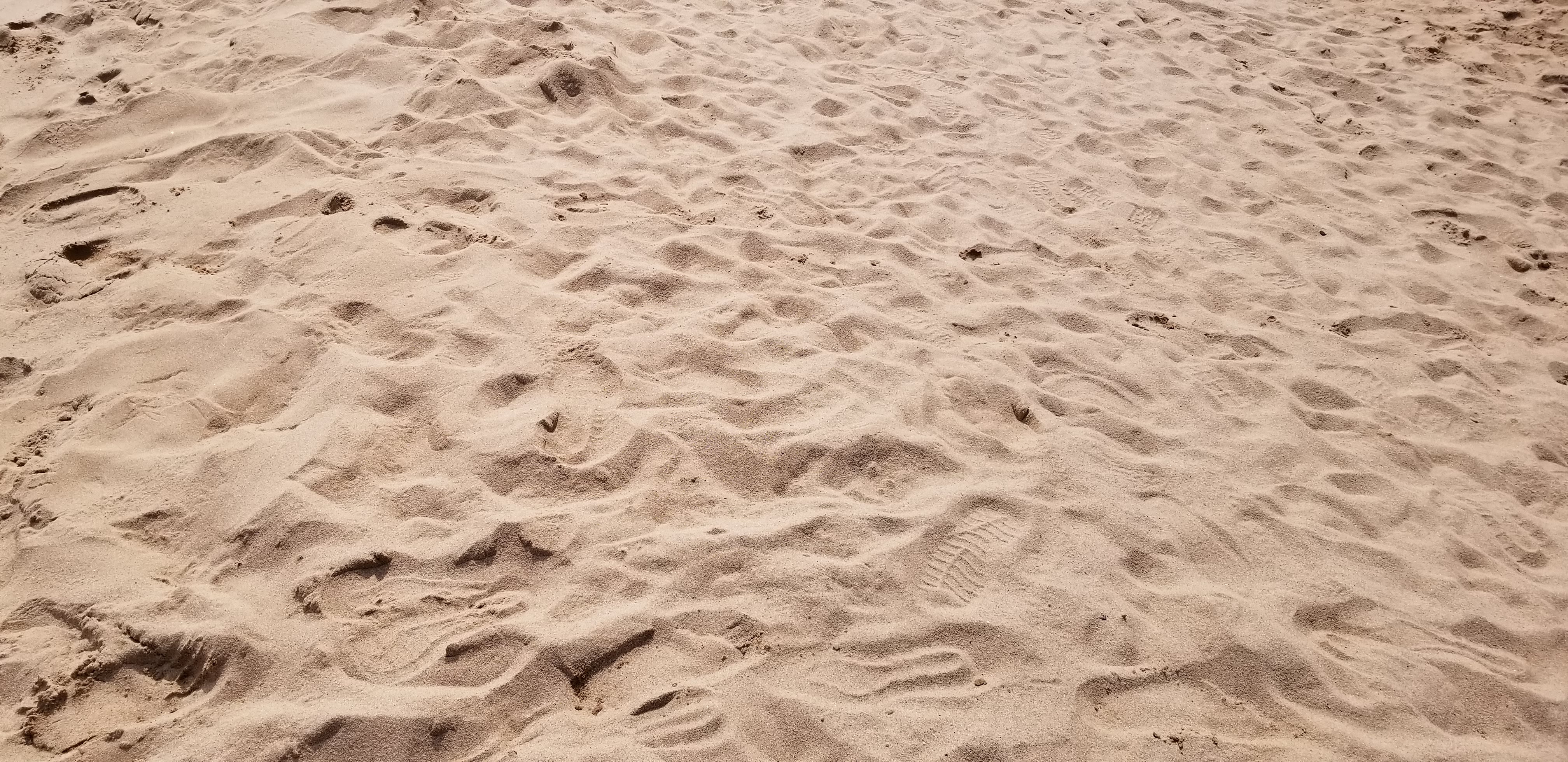 20180719_154548.jpg