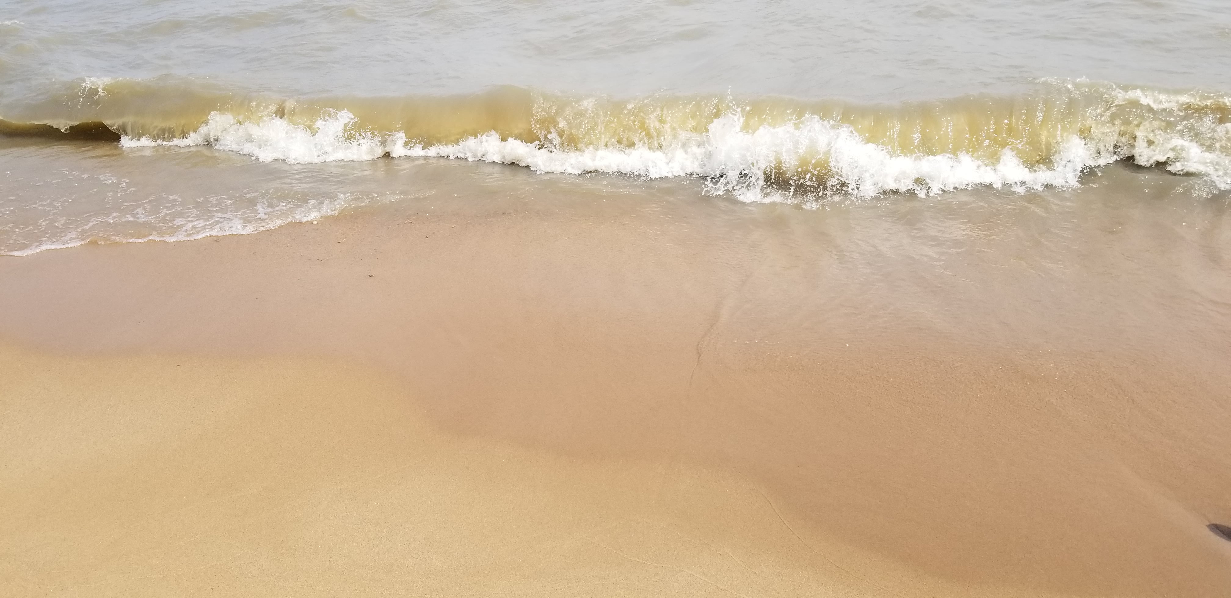 20180719_154616.jpg