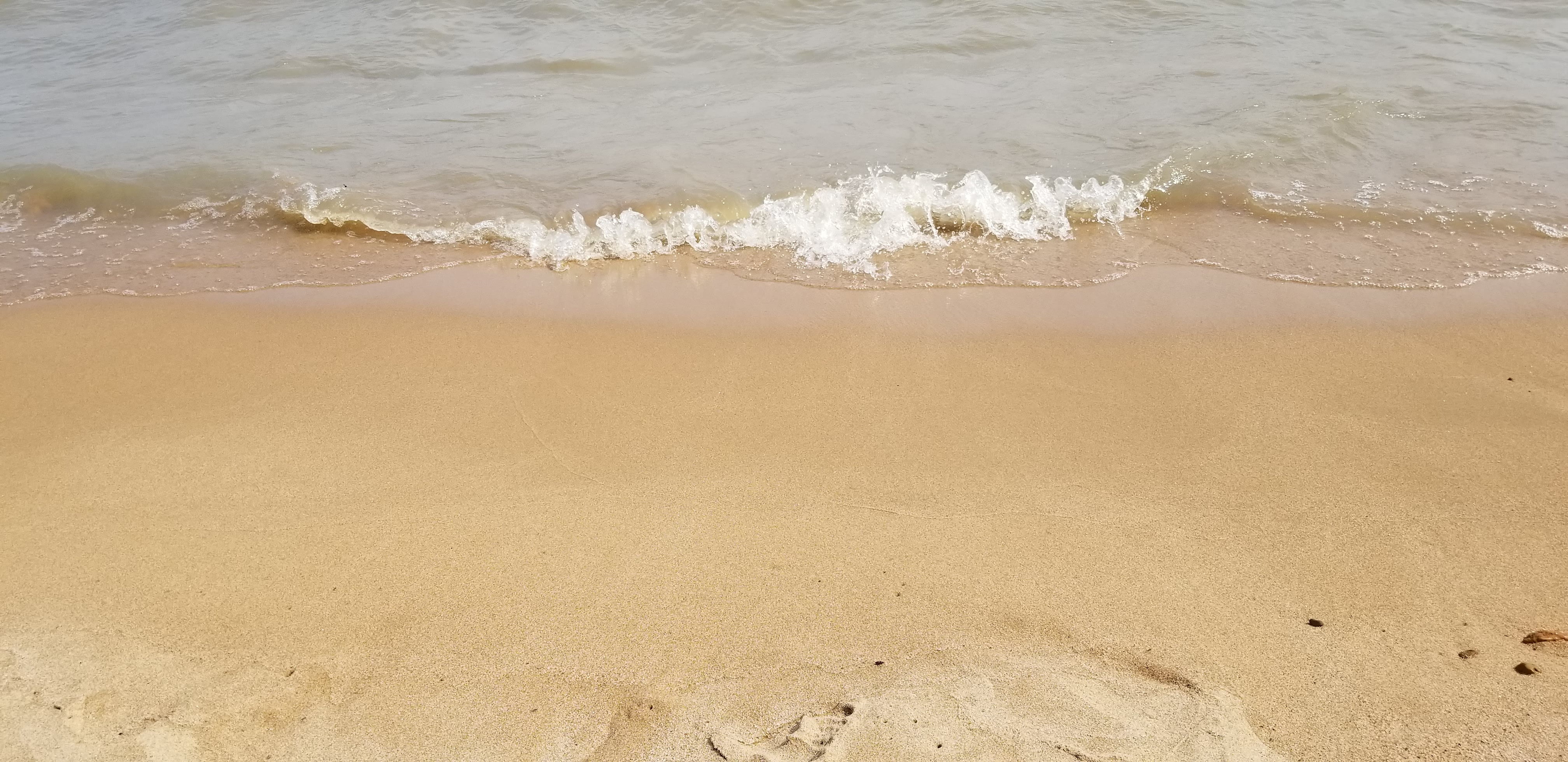20180719_154627.jpg
