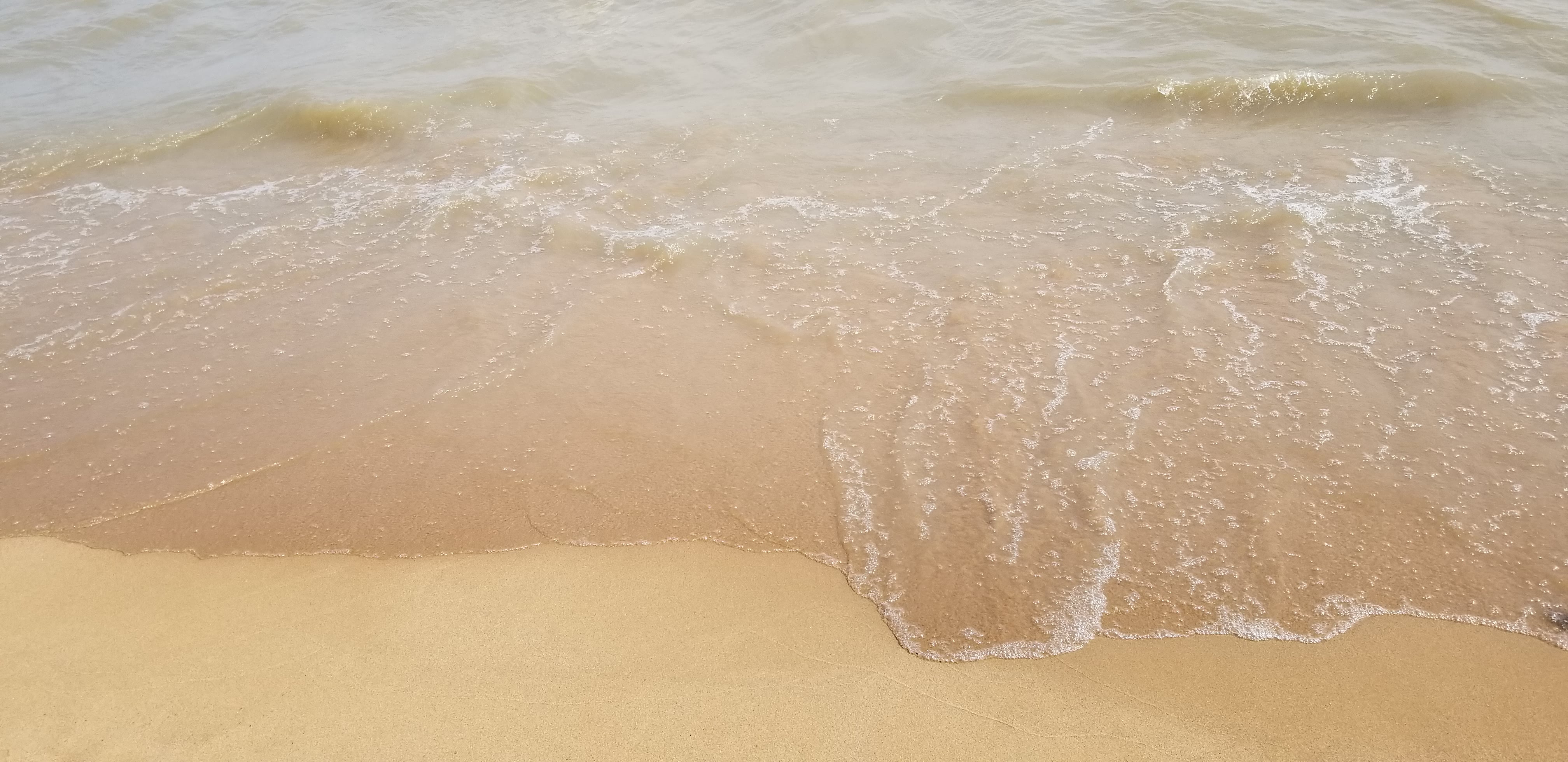 20180719_154618.jpg