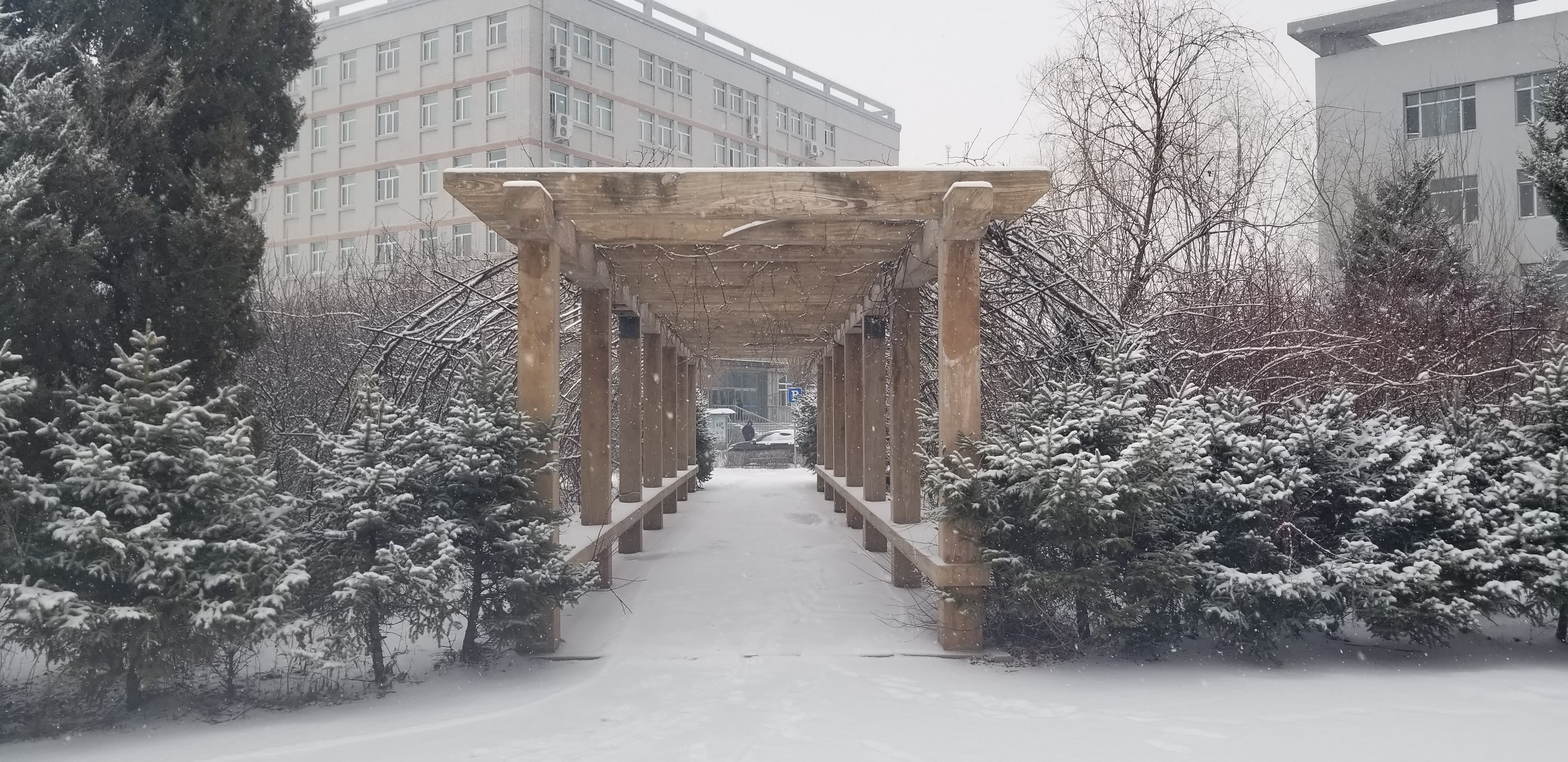 20181221_131445.jpg